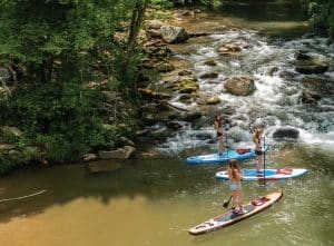 paddleboarders