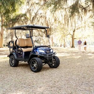 golf cart dealer web design